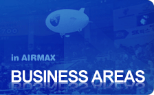 Business Areas